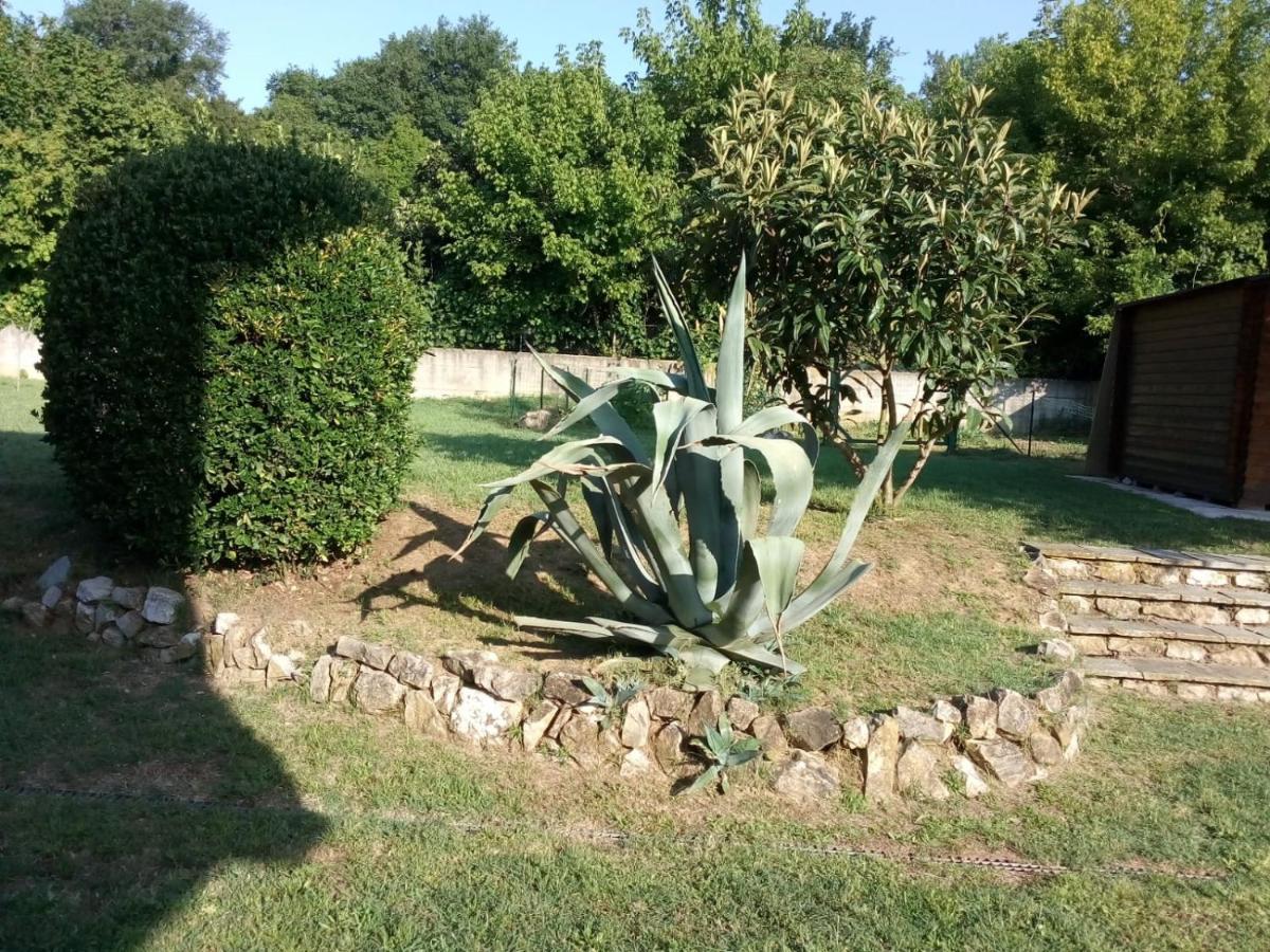 Greentuscany Forcoli Buitenkant foto